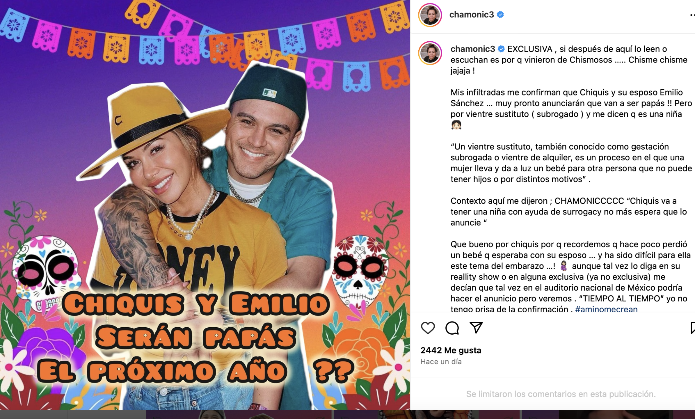 Chiquis esperaría un hijo