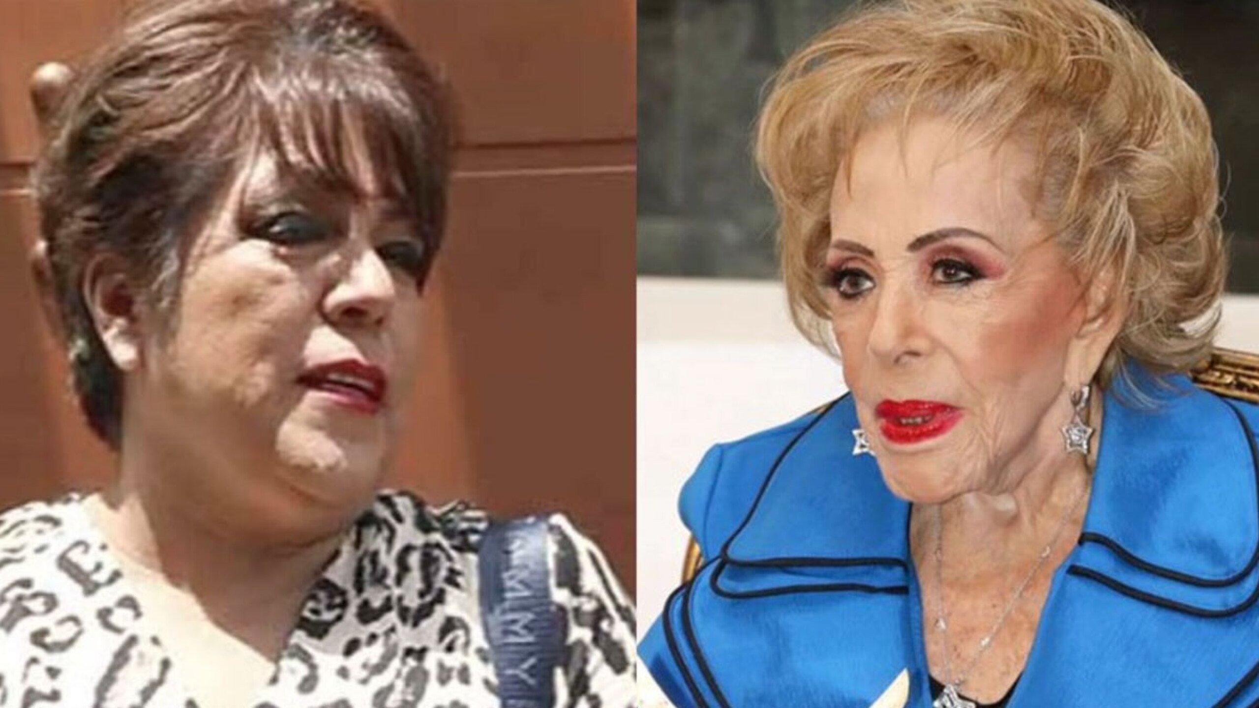 Silvia Pinal herencia