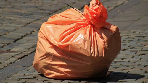 Adiós a las bolsas de plástico, Chihuahua prohibe uso en comercios