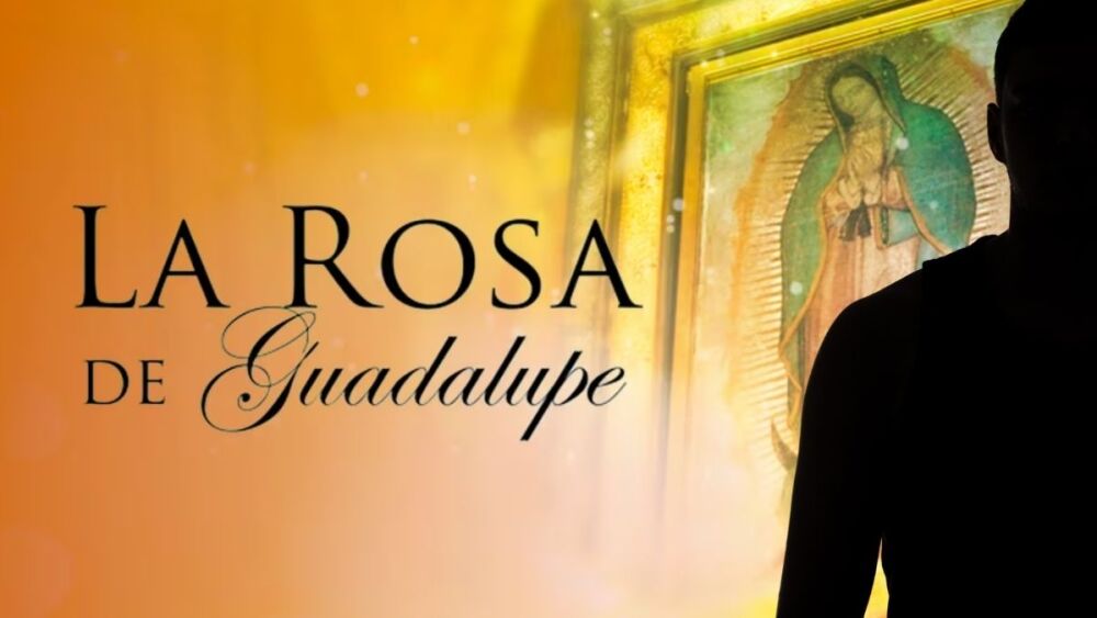 Actor de La rosa de Guadalupe