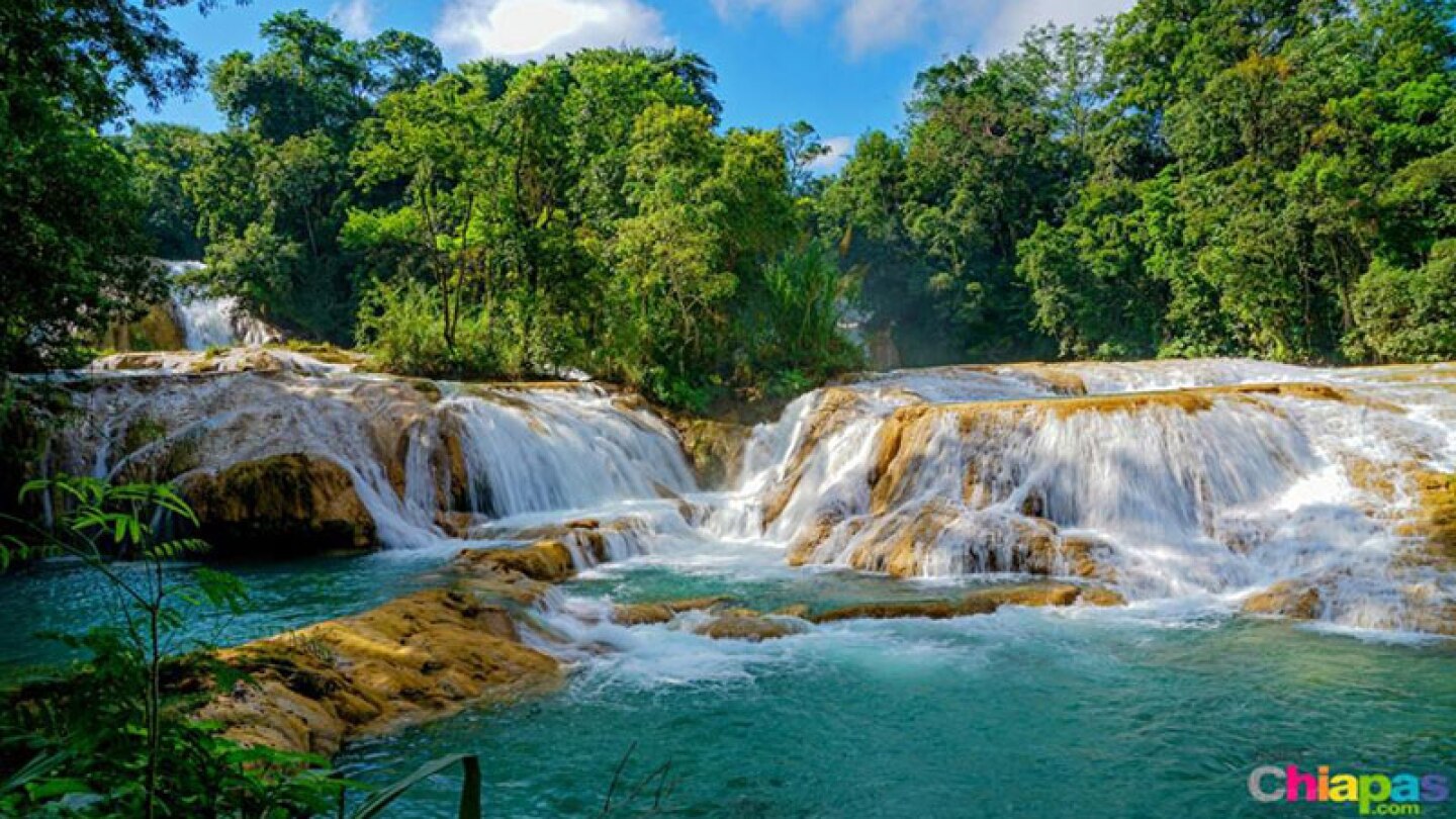 Cascadas de Agua Azul.