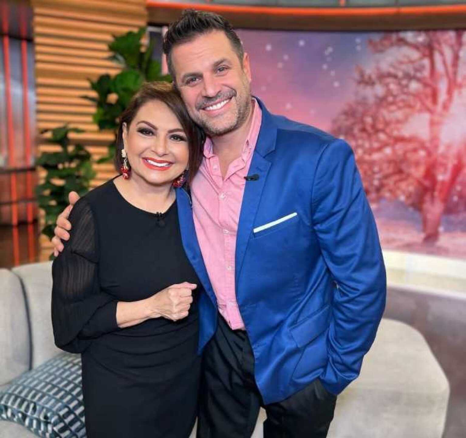 Collins ha ganado varios premios como reportera de noticias, y dos Emmy. Ella trabaja para la cadena Univisión como reportera de noticias y más tarde condujo noticias de fin de semana desde principios de los años 1990 y tras su reingreso a la cadena se ha desempeñado como la corresponsal principal internacional del Noticiero Univisión.