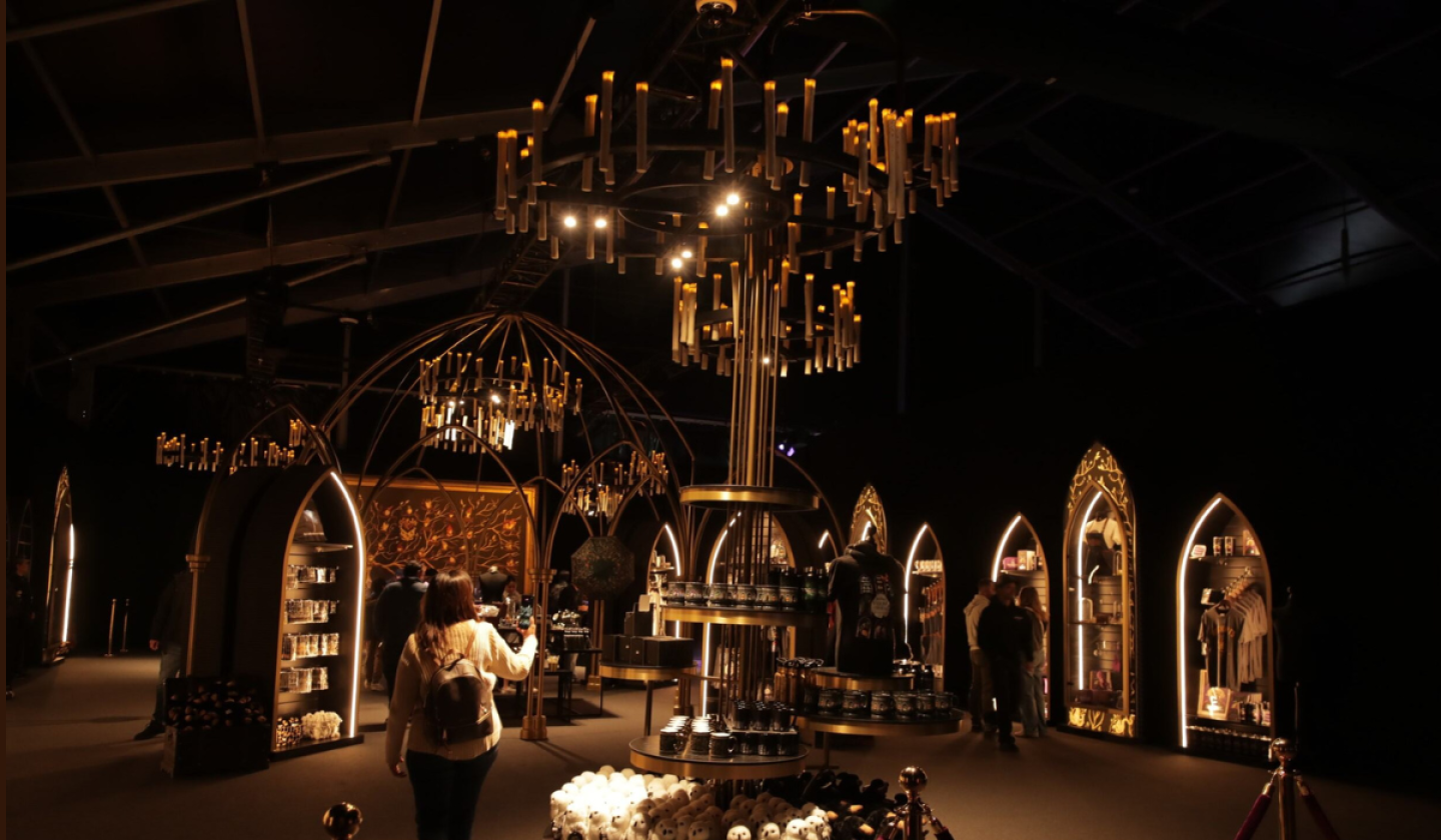 Harry Potter: Visions of magic