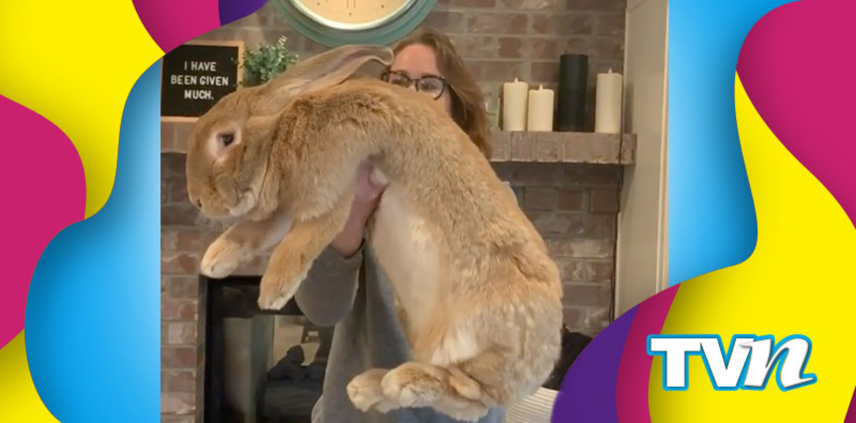 Conejo Gigante Mascota Big Cocoa Puff Instagram