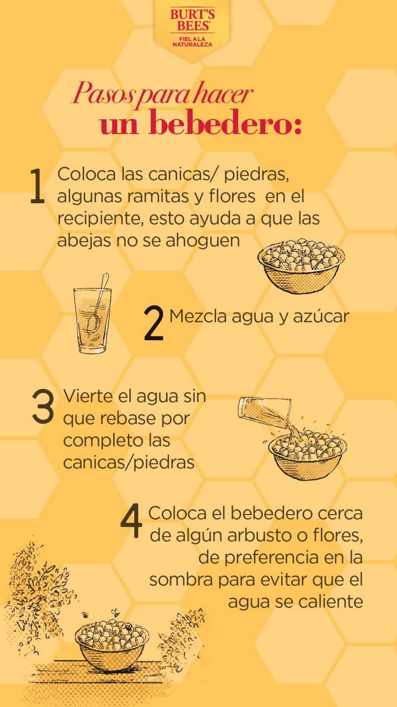 Crea tu propio bebedero para abejas.