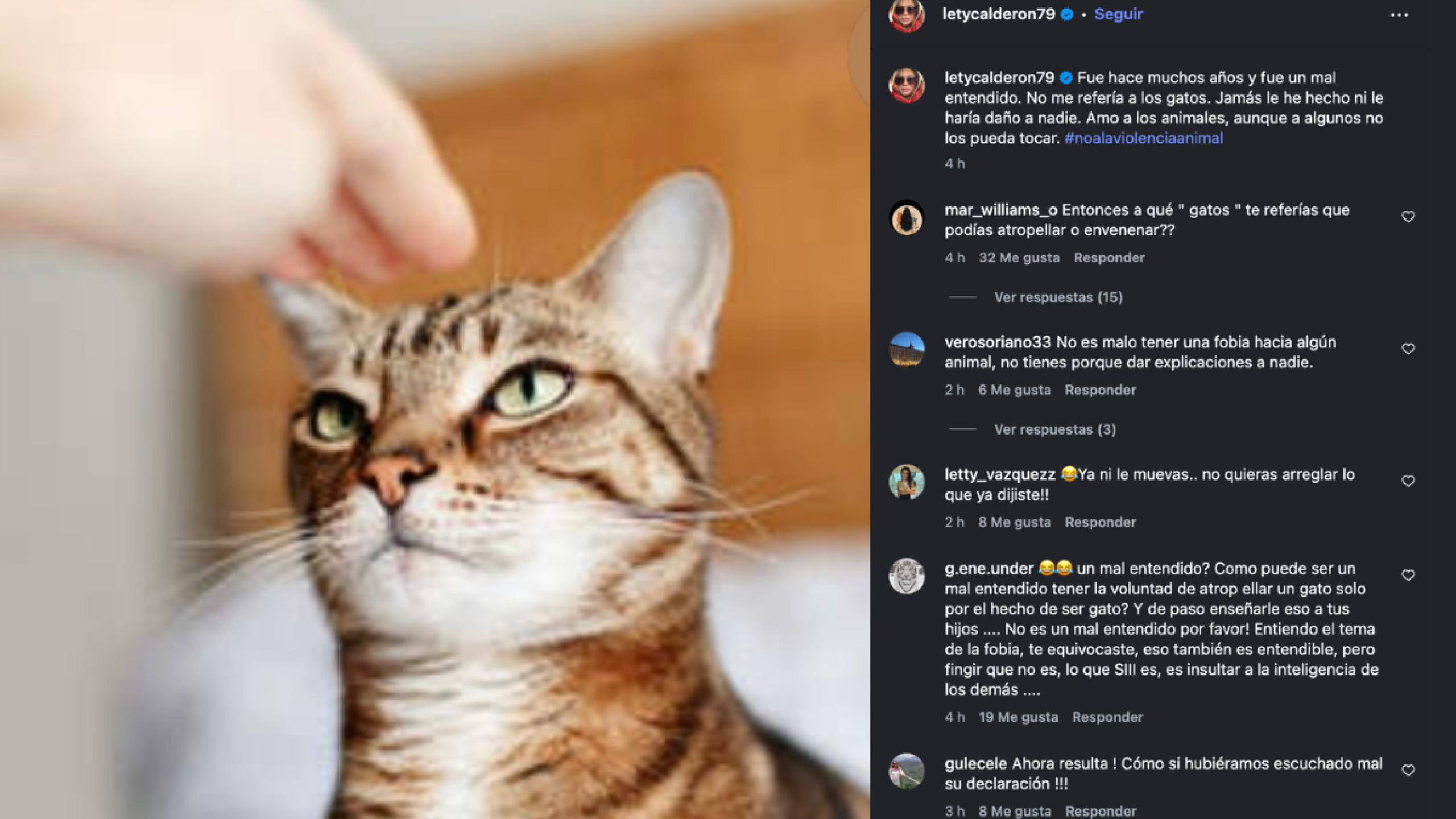 La actriz Leticia Calderón habla sobre los gatos