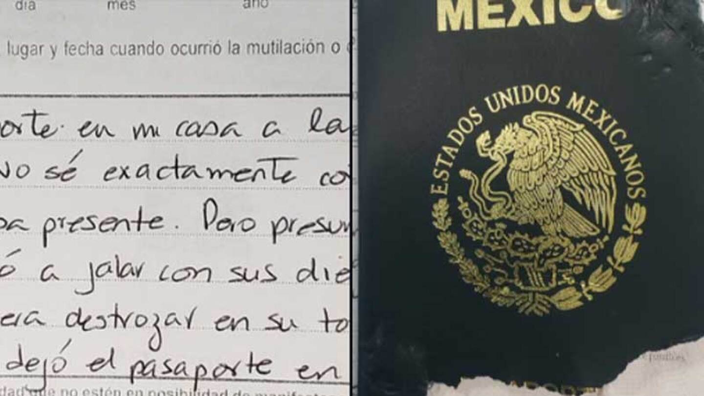 Una perrita se comió el pasaporte.