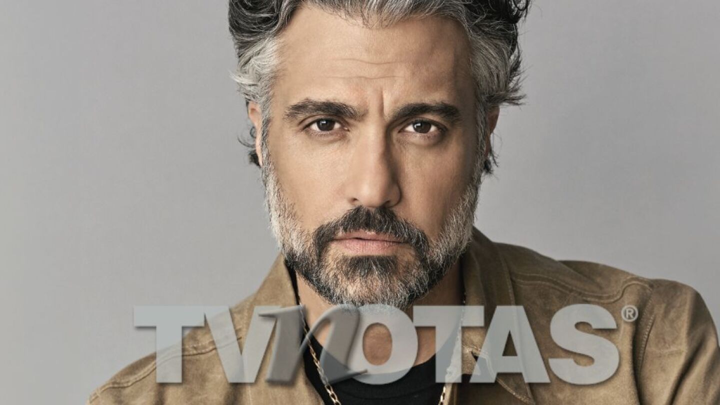 Jaime Camil, La academia