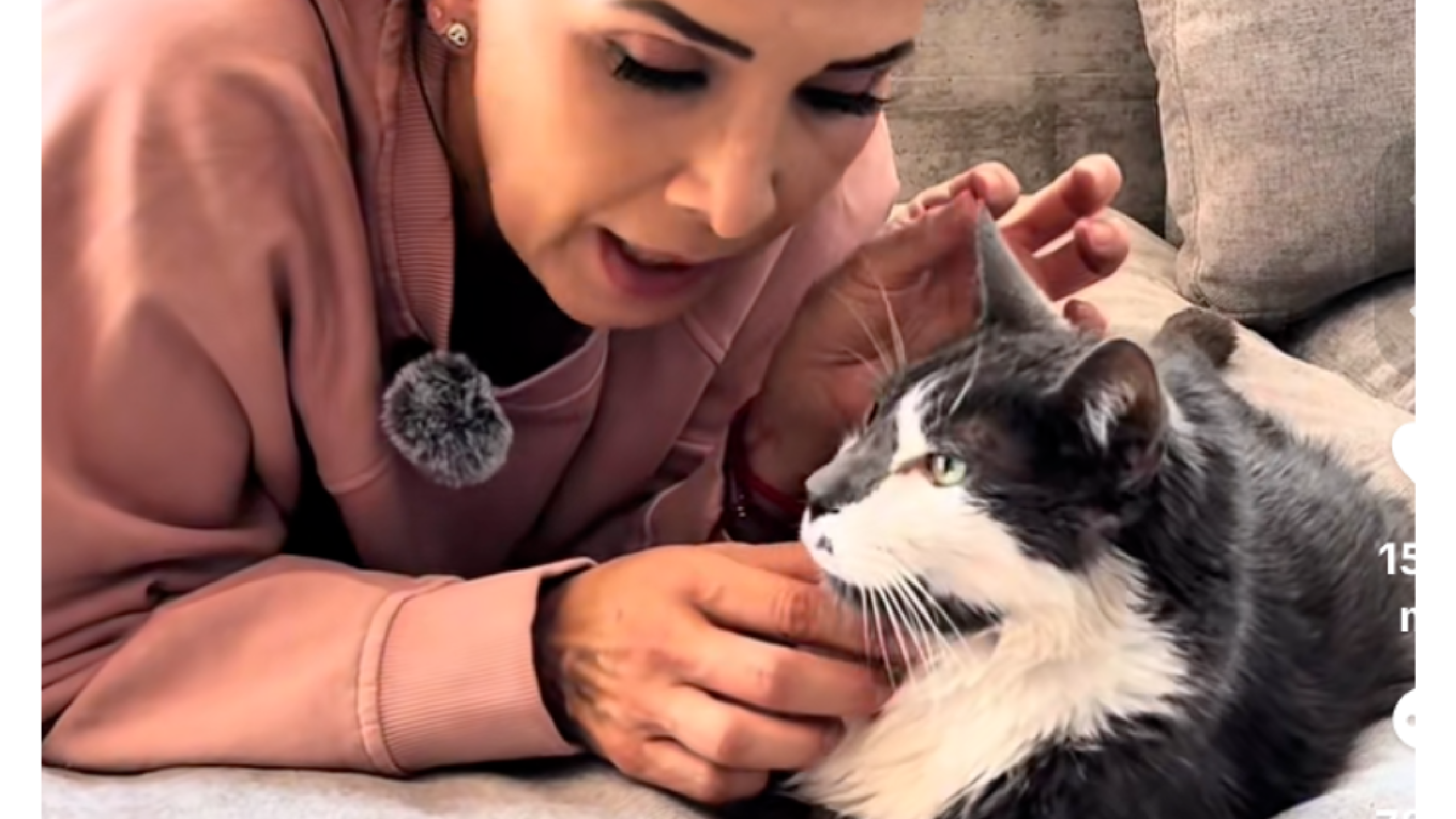 Dalilah Polanco se despide del amor de su vida: su gato tiene un tumor inoperable