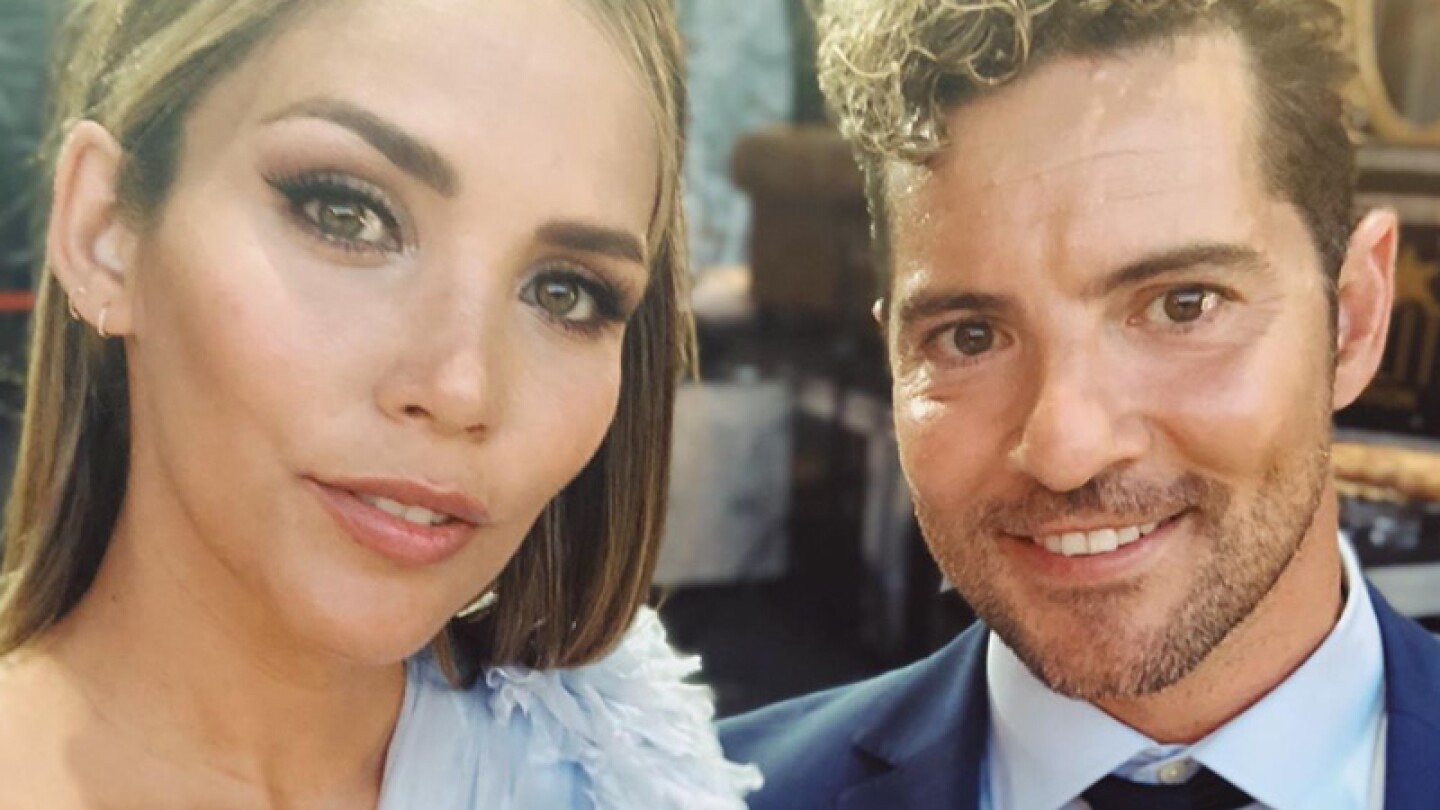 David Bisbal y Rosanna Zanetti revelan si tendrán niña o niño