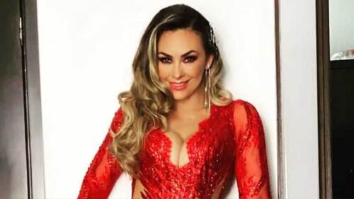 Aracely Arámbula felicitó a su hijo