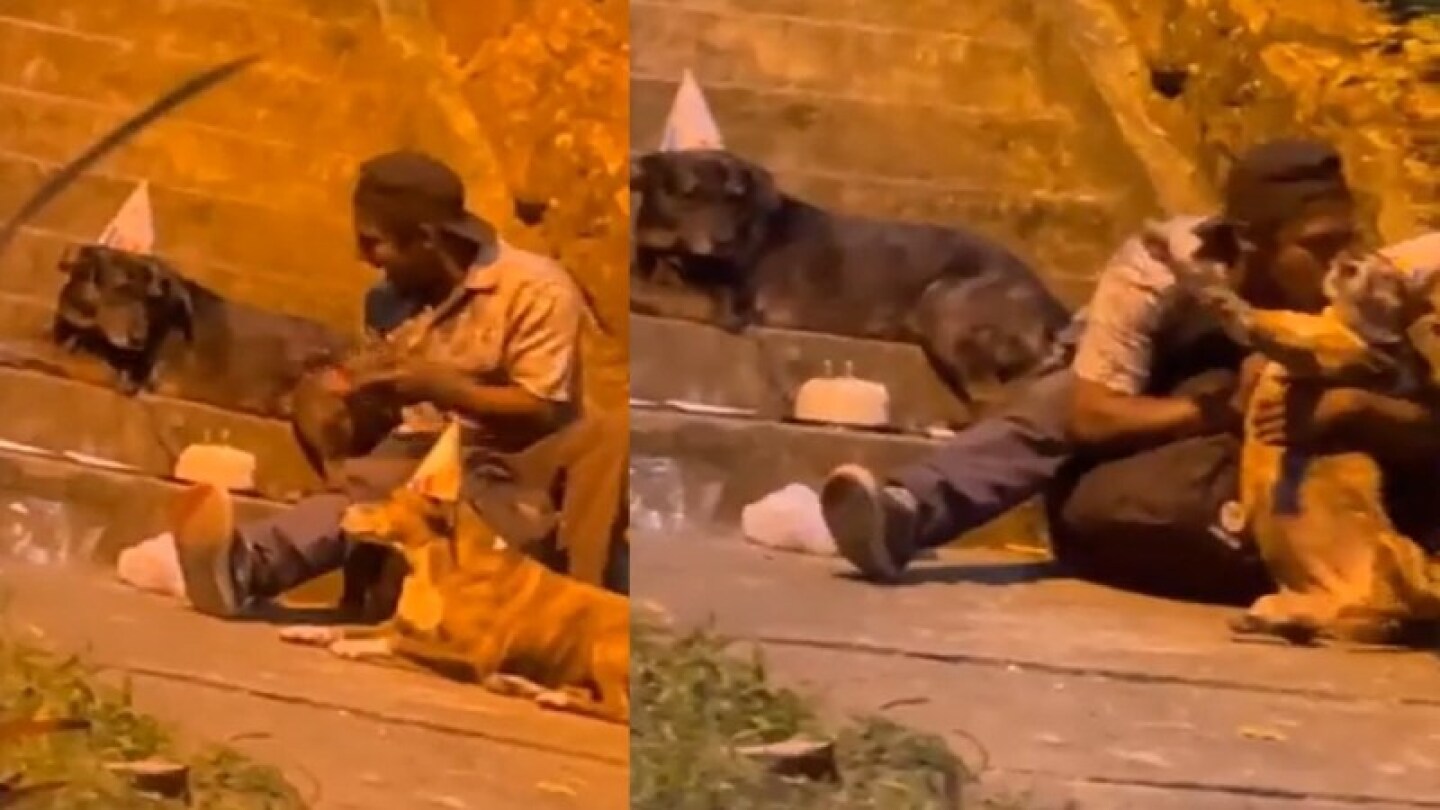 Hombre situación calle celebra cumpleaños perritos callejeros