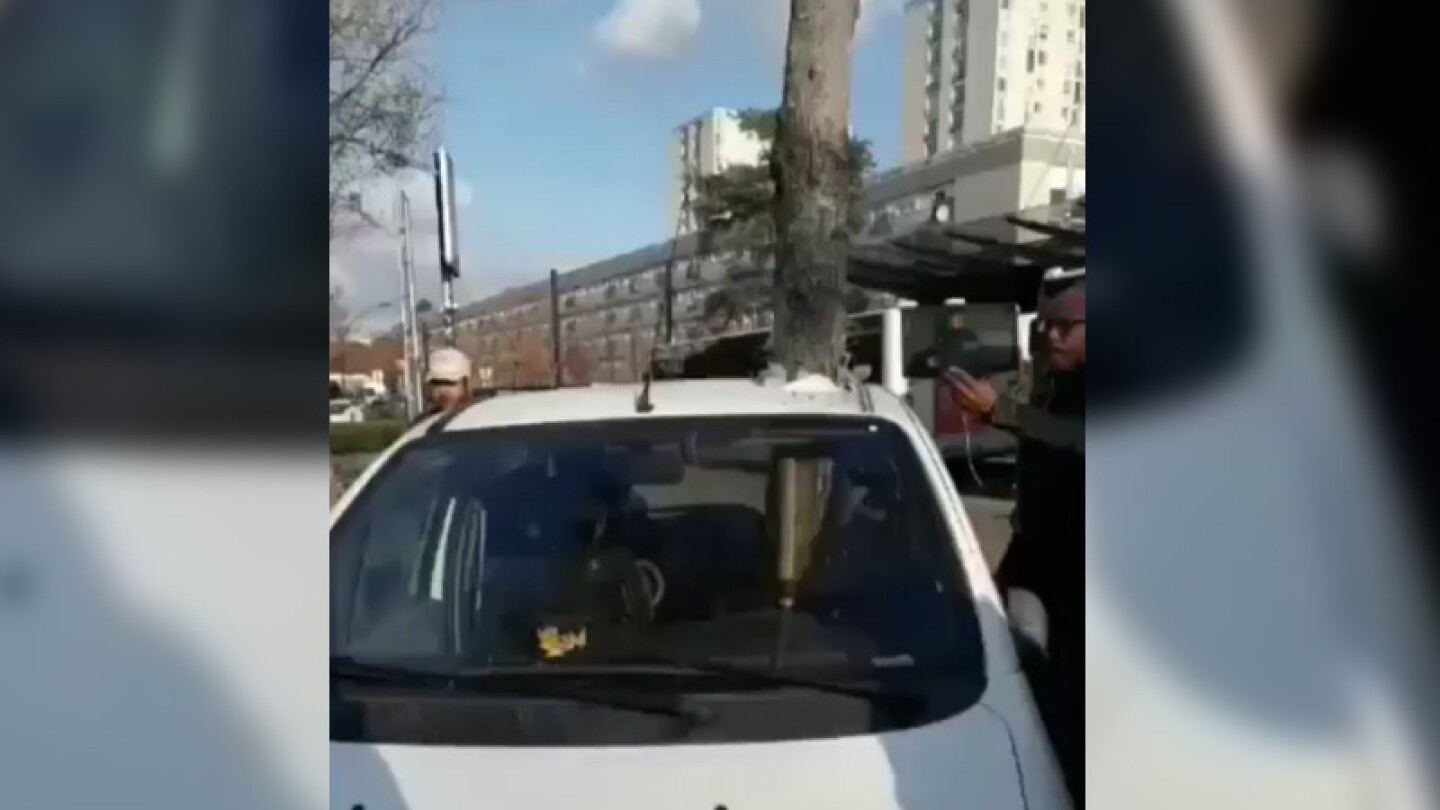 Árbol crece dentro de un automóvil