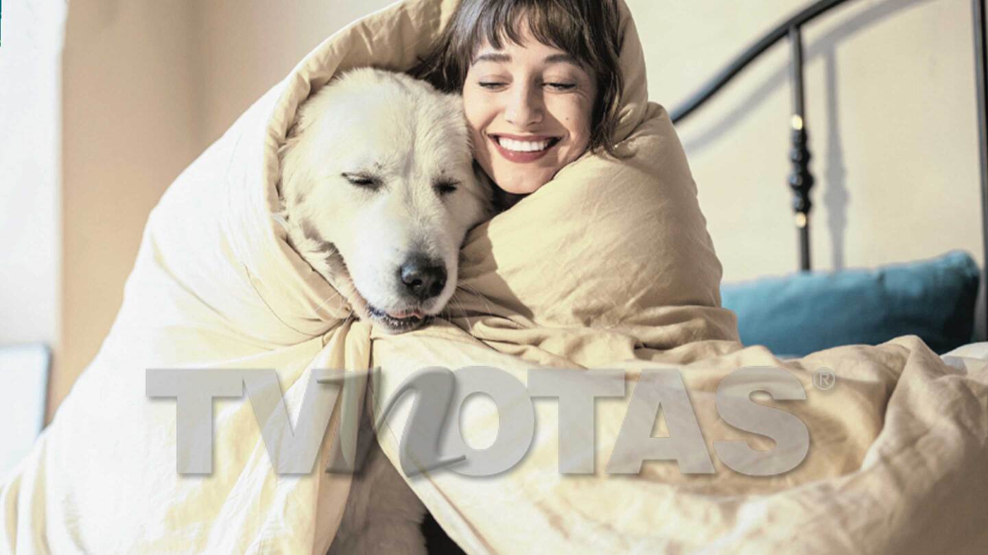¿Tu perro es capaz de sentir lo mismo que tu? Te contamos de lo que s capaz tu vomito