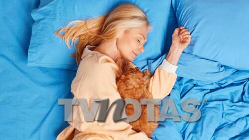 Dormir con mascotas