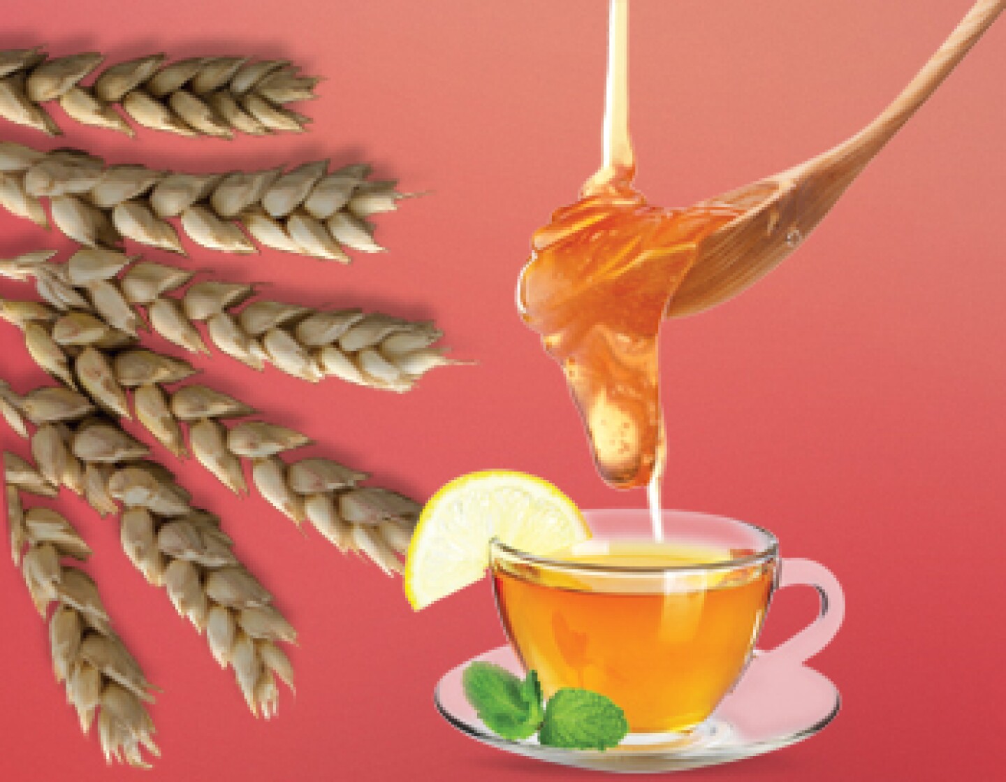 Usa estos ingredientes para conseguir más suavidad en tu piel.