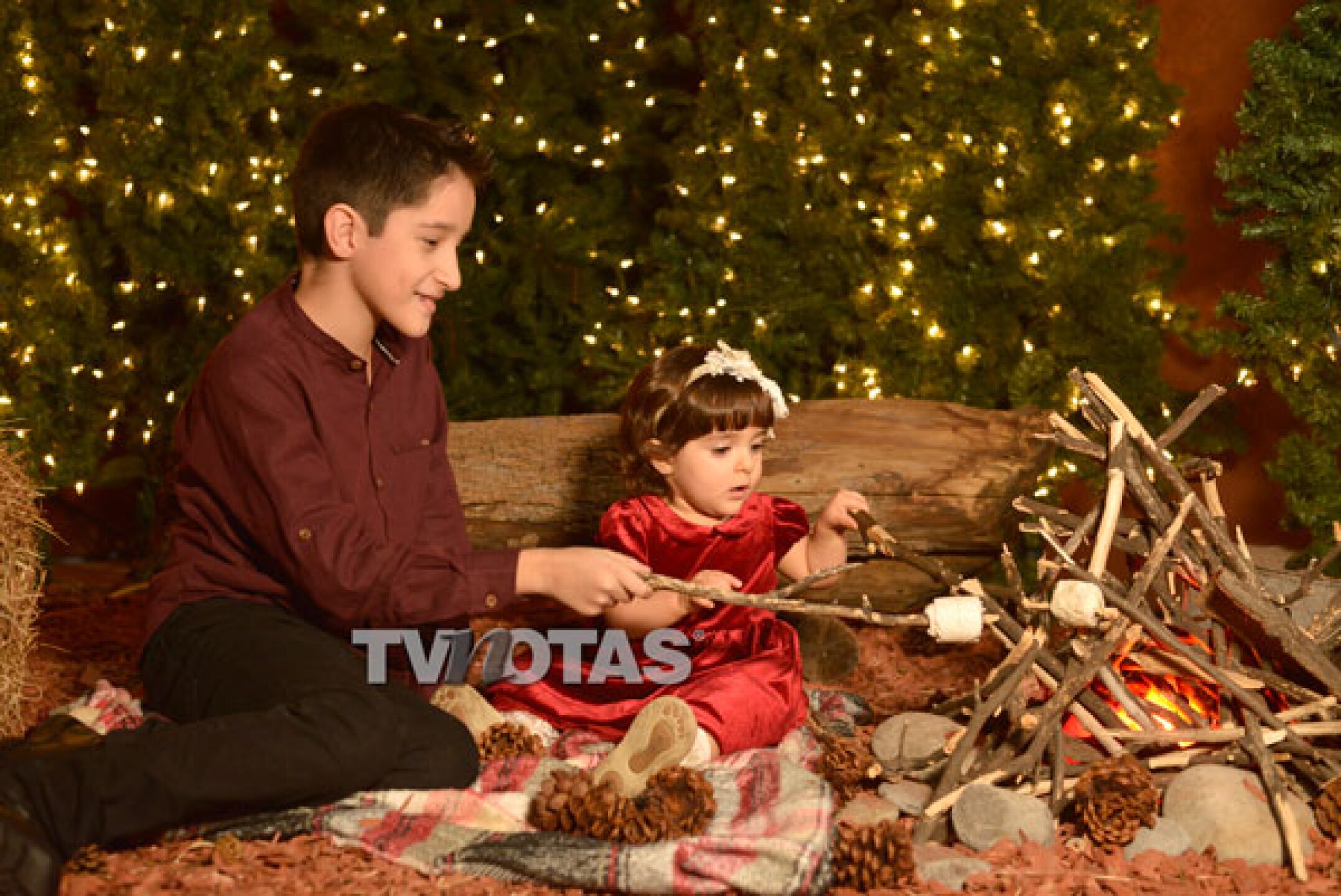 hijos de myriam montemayor