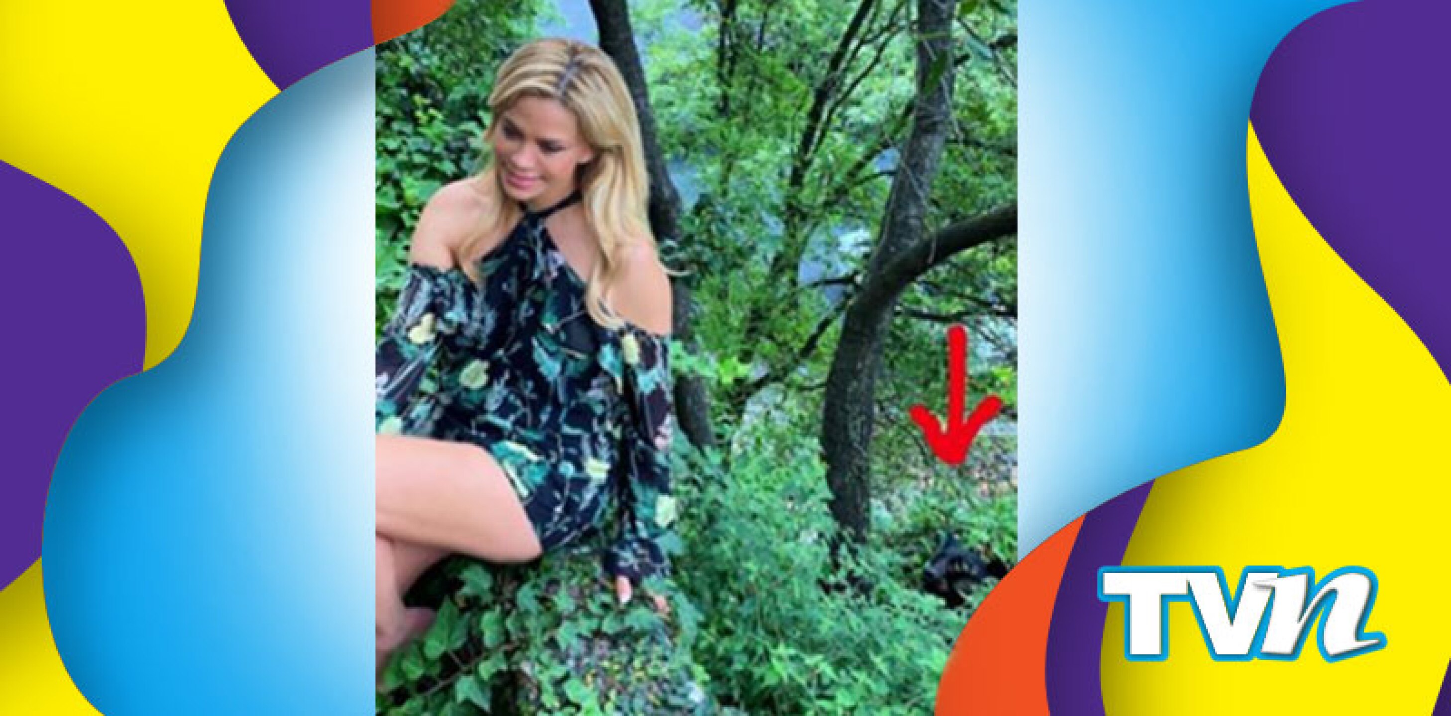 El animal fue muy silencioso.