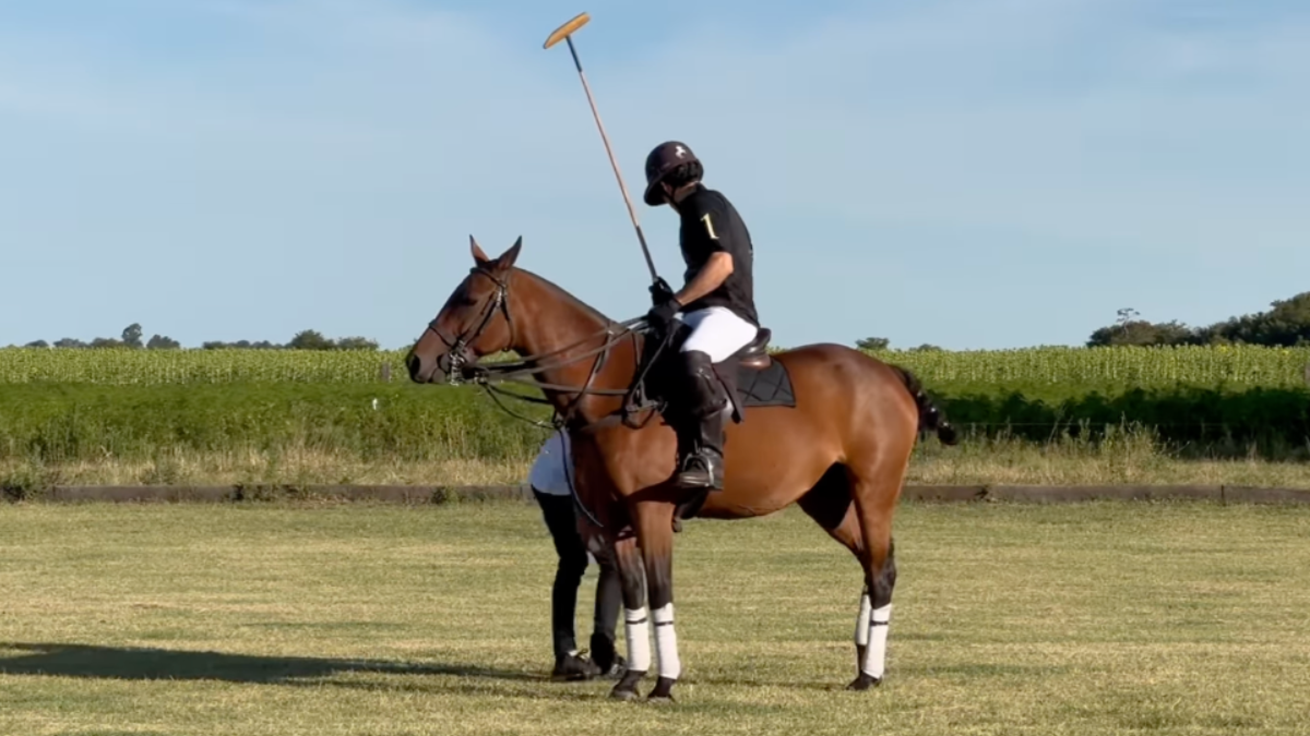 Aarón Díaz dejó la actuación para comenzar a practicar polo.