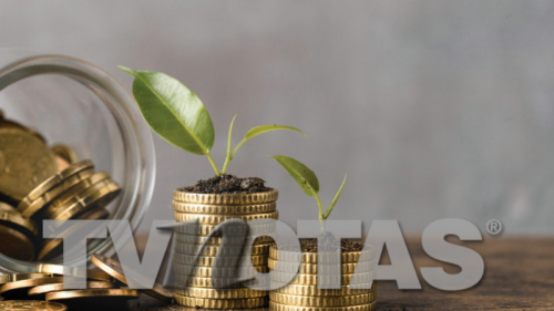 Dinero y plantas.png