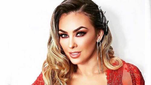 Aracely Arámbula etá contenta por sus hijos