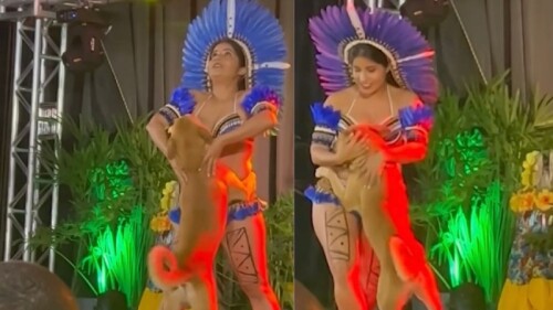 Perro interrumpe show y se roba el espectáculo al seguir el ritmo de la bailarina