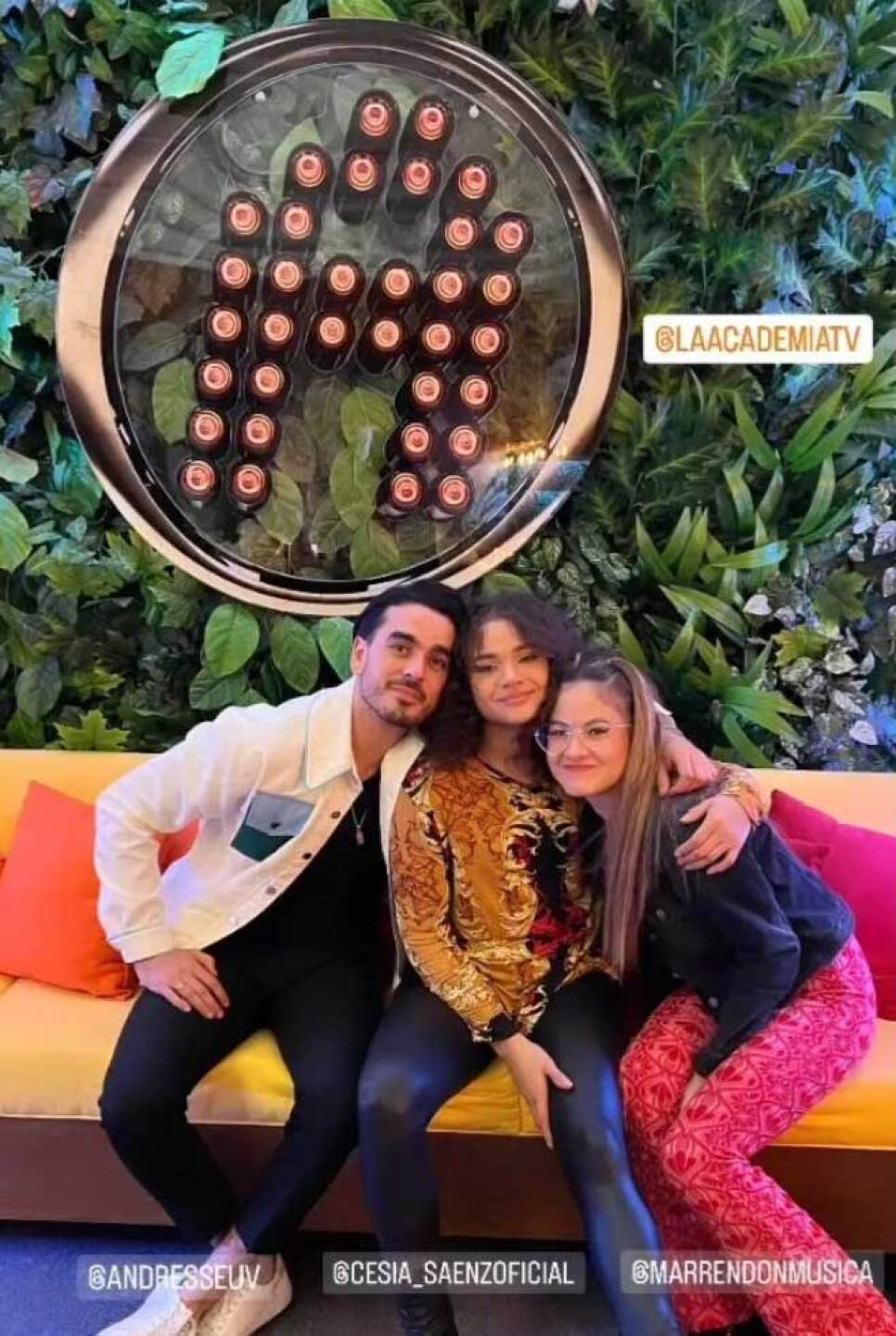 ganadores de La Academia tendrían trato de superestrellas