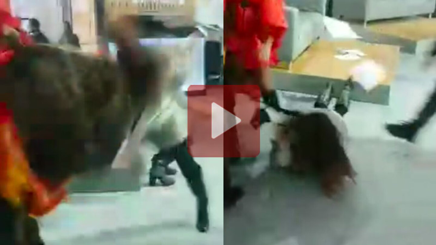 Osa ataca a conductora de tv.