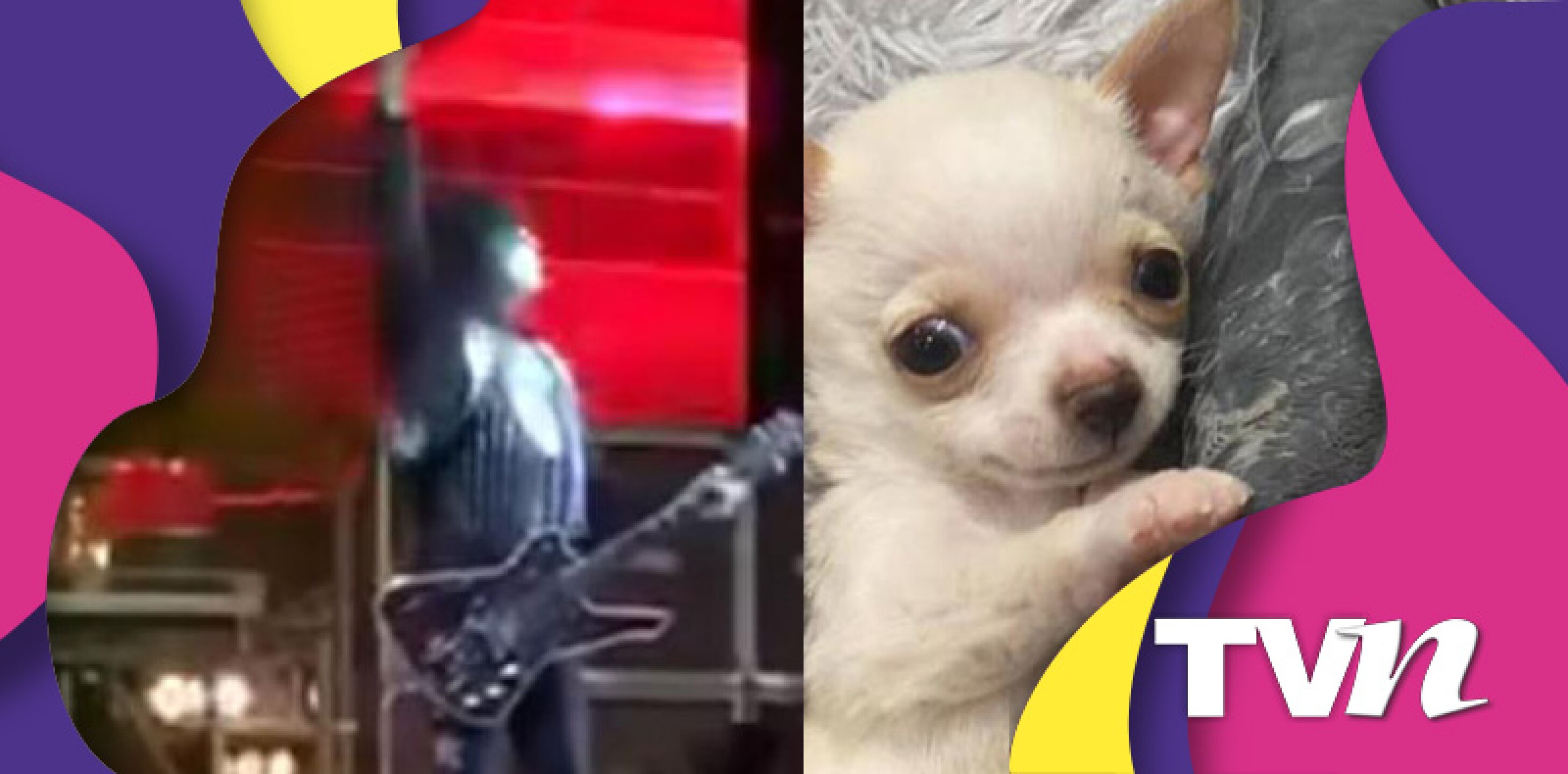 Esta historia ha estremecido a miles en la web.