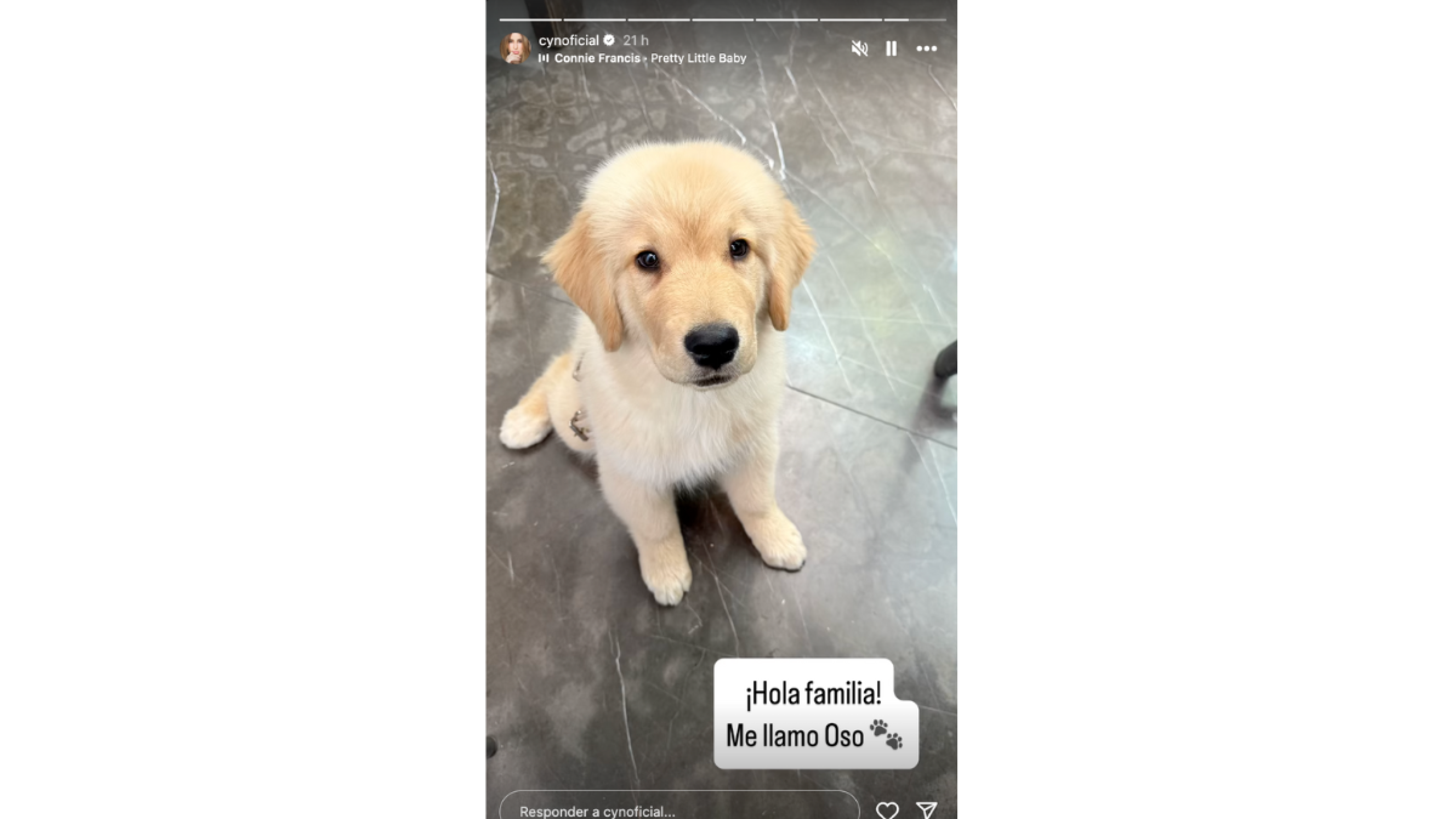 Cynthia Rodríguez y Carlos Rivera dan la bienvenida a nuevo integrante en su familia