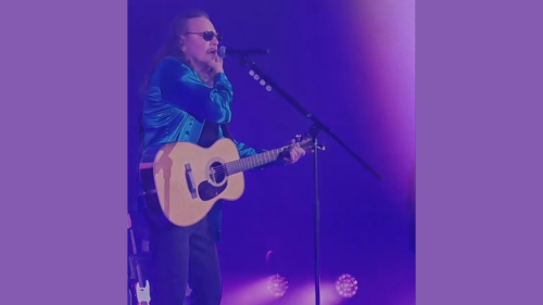 Fher de Maná, en el concierto del Palacio de los Deportes