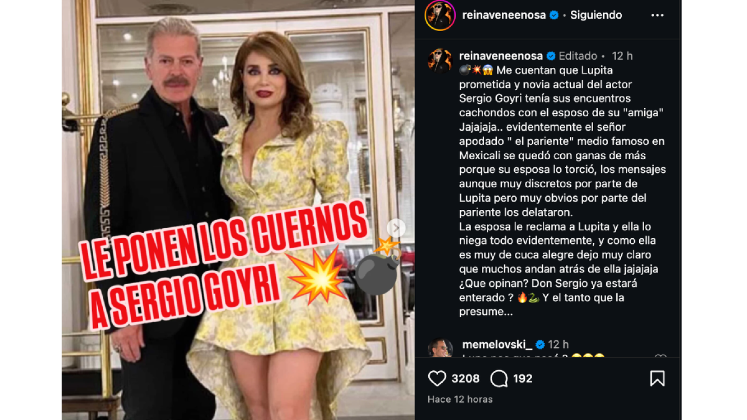 ¿Lupita Arreola engañó a Sergio Goyri?