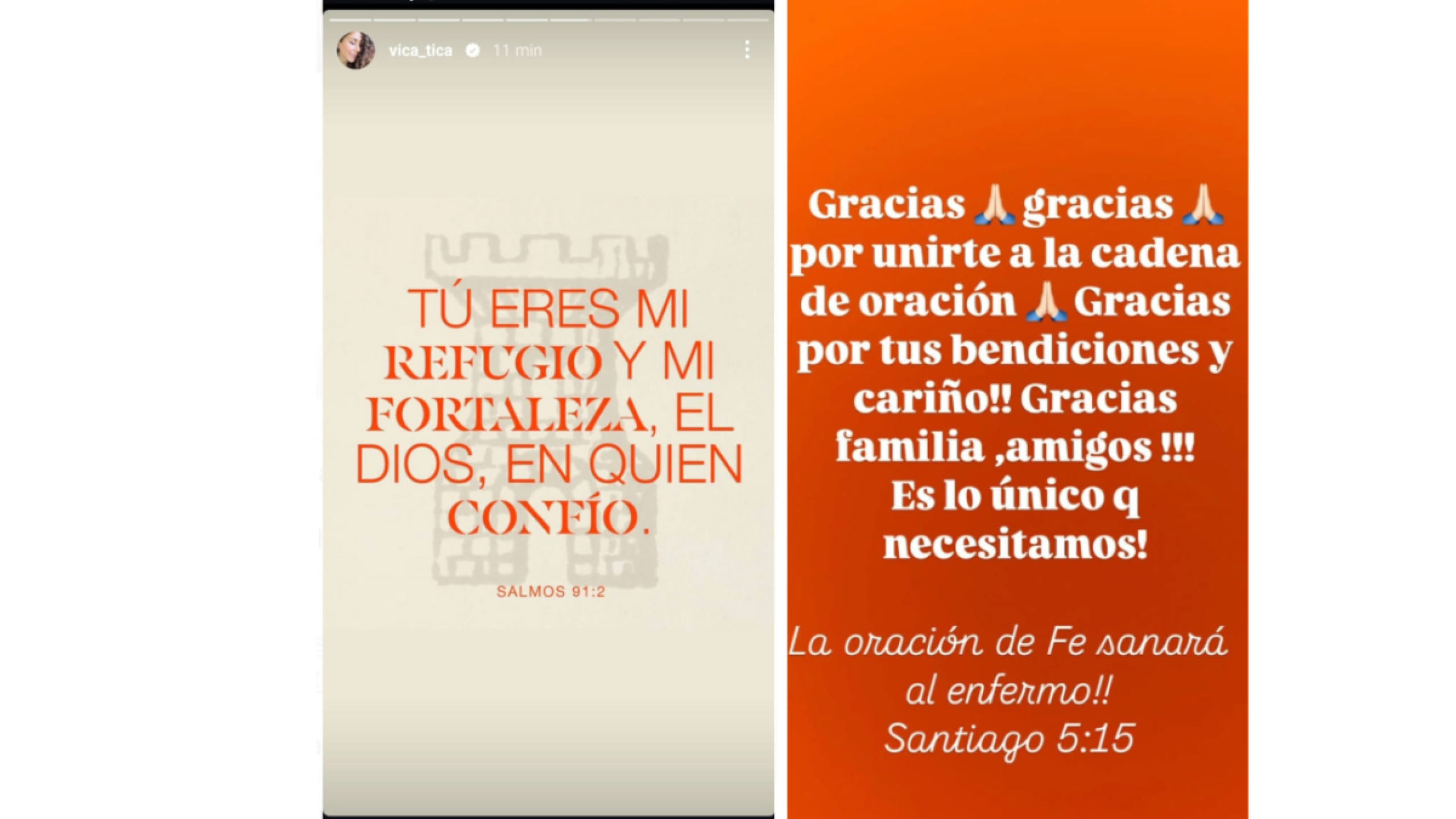 Vica Andrade stories.png