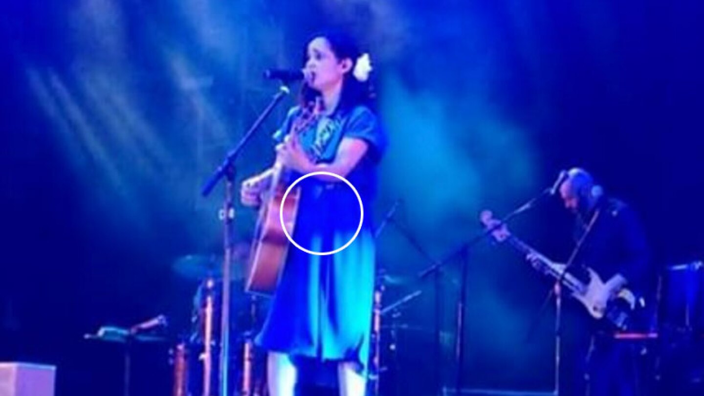 Julieta Venegas ¿está embarazada?