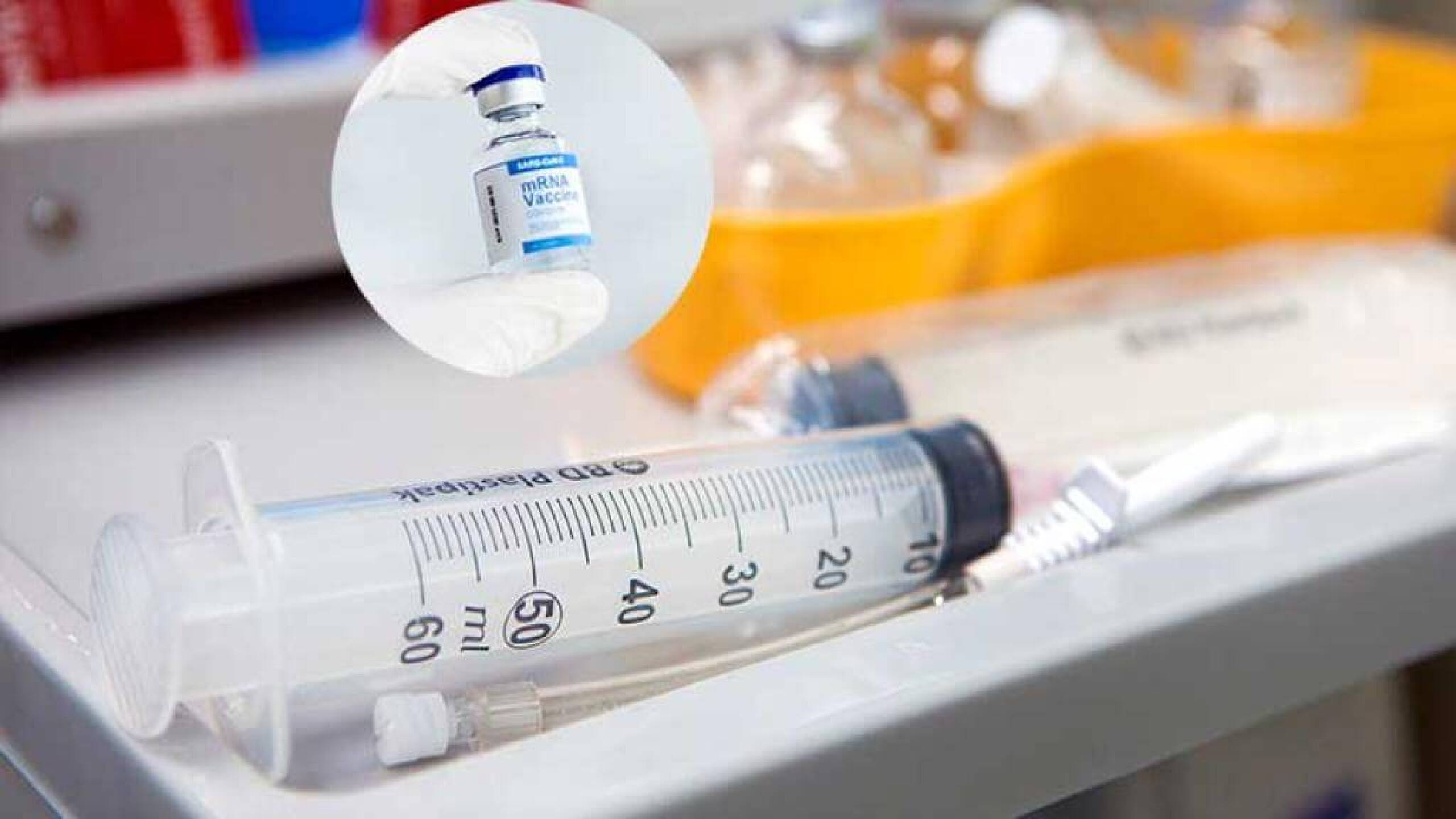 Iniciará vacunación