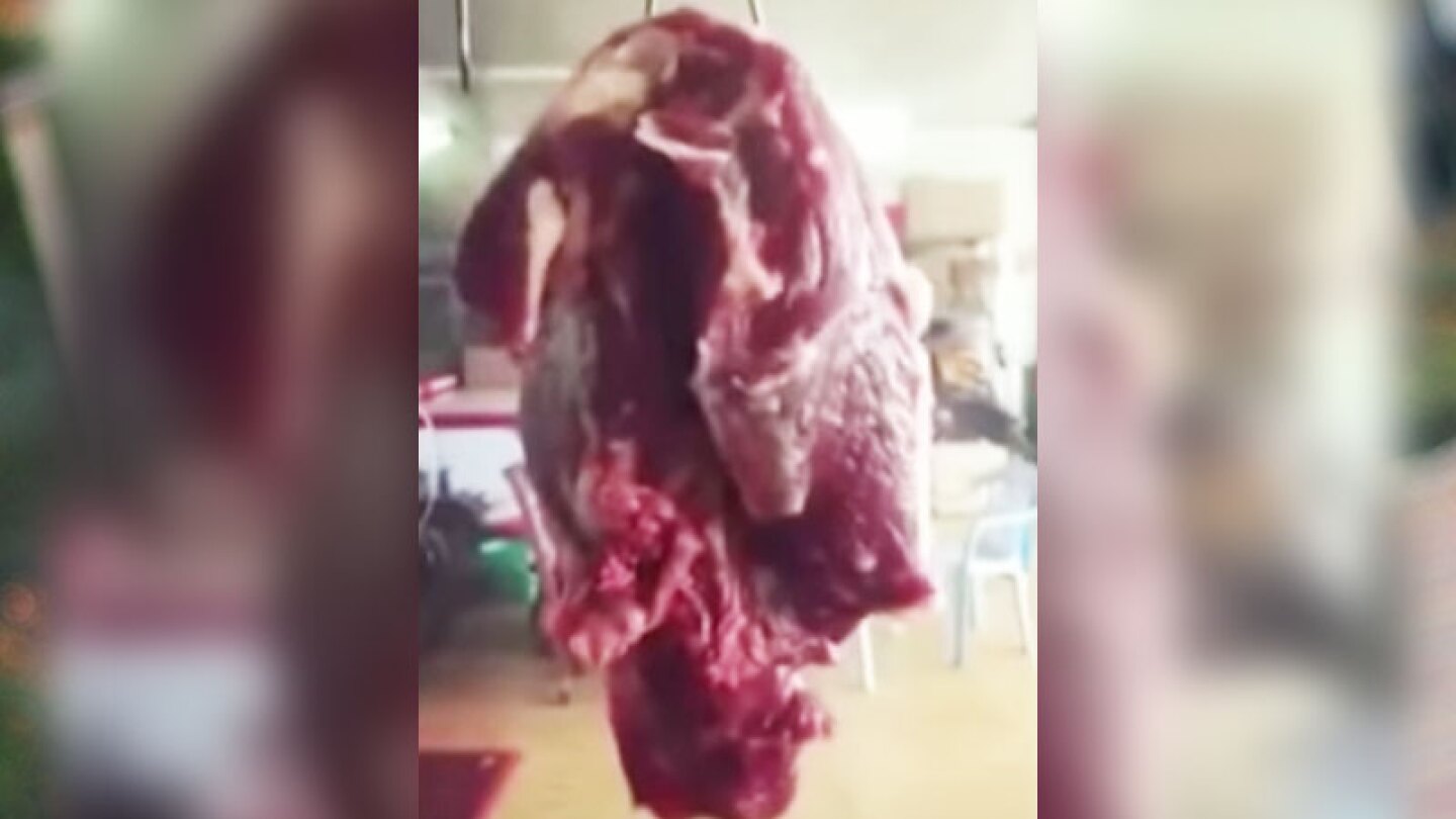 Carne viviente n.