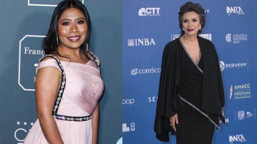 yalitzia.jpg