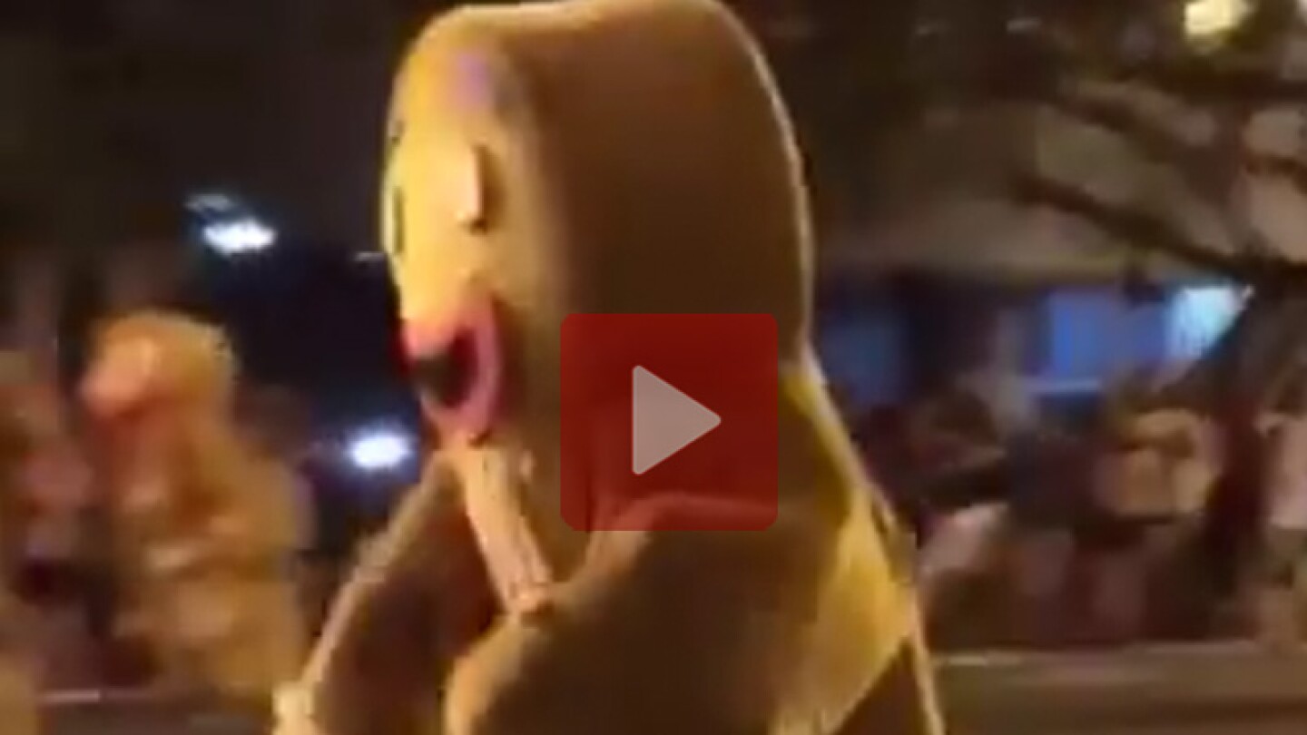 Perro persigue a botarga de galleta