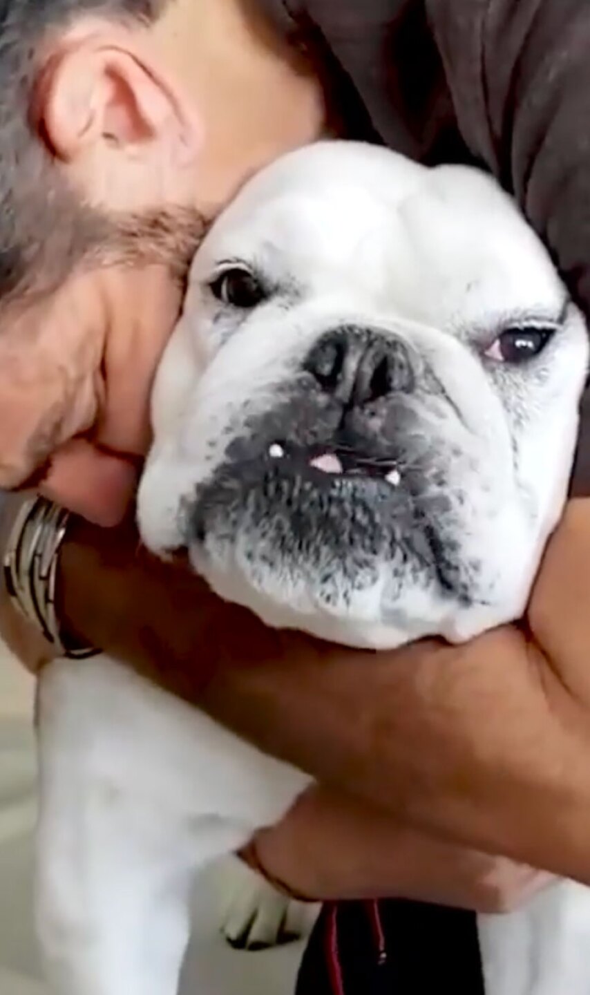Eugenio Derbez abrazando a su mascota Fiona