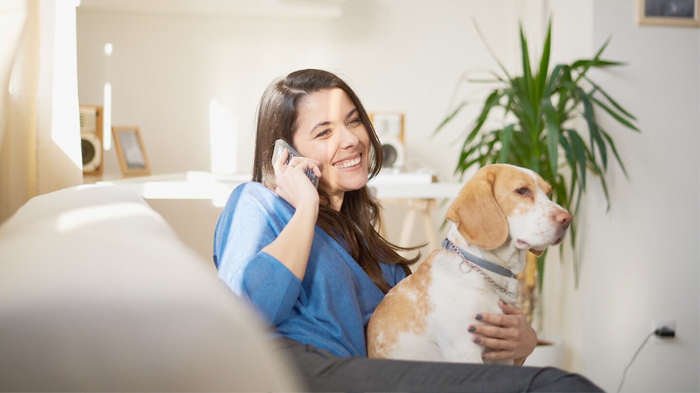 Vivir con un perro en casa, implica tener mucha responsabilidad