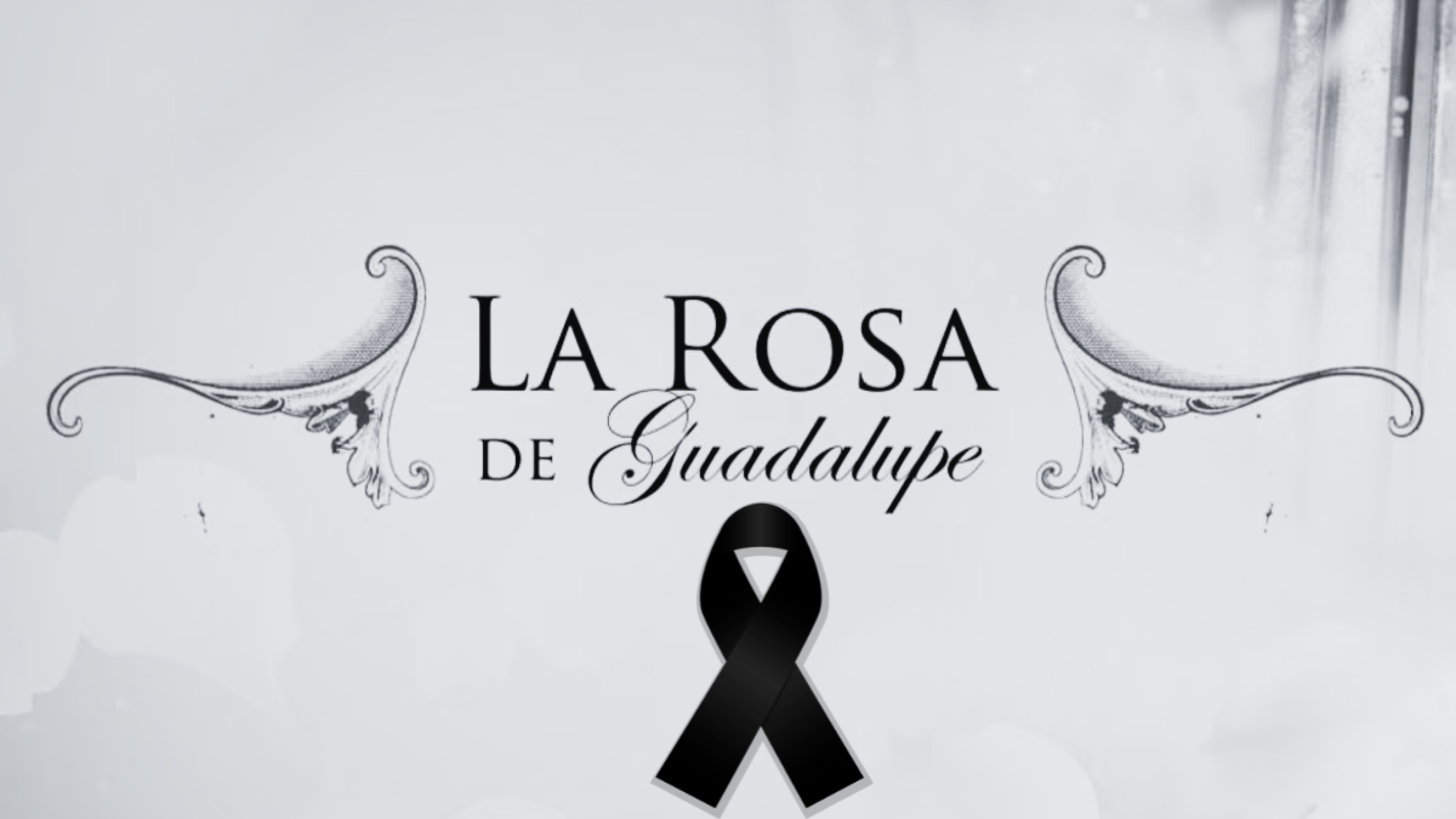 La rosa de Guadalupe