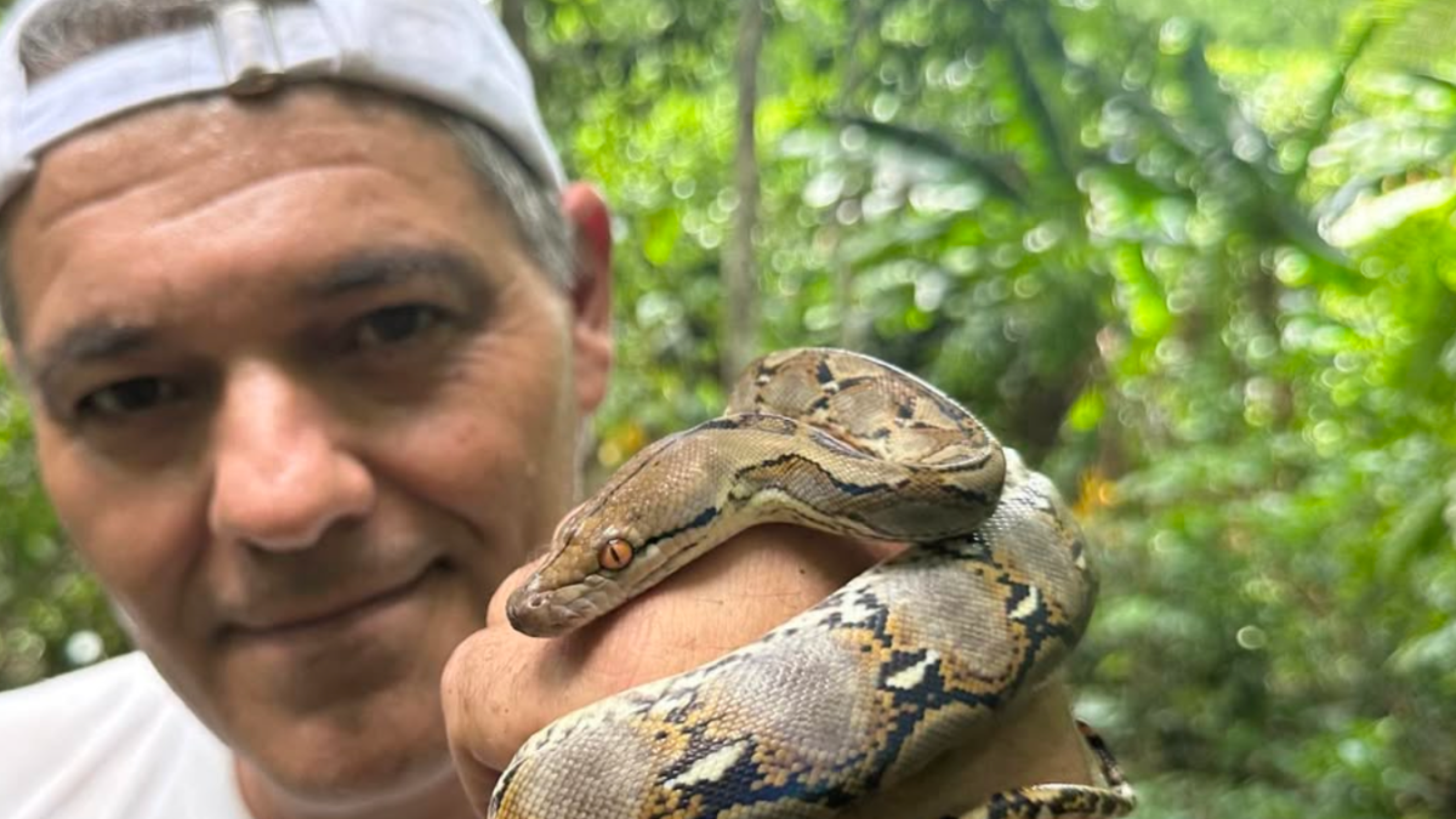 Frank Cuesta víbora