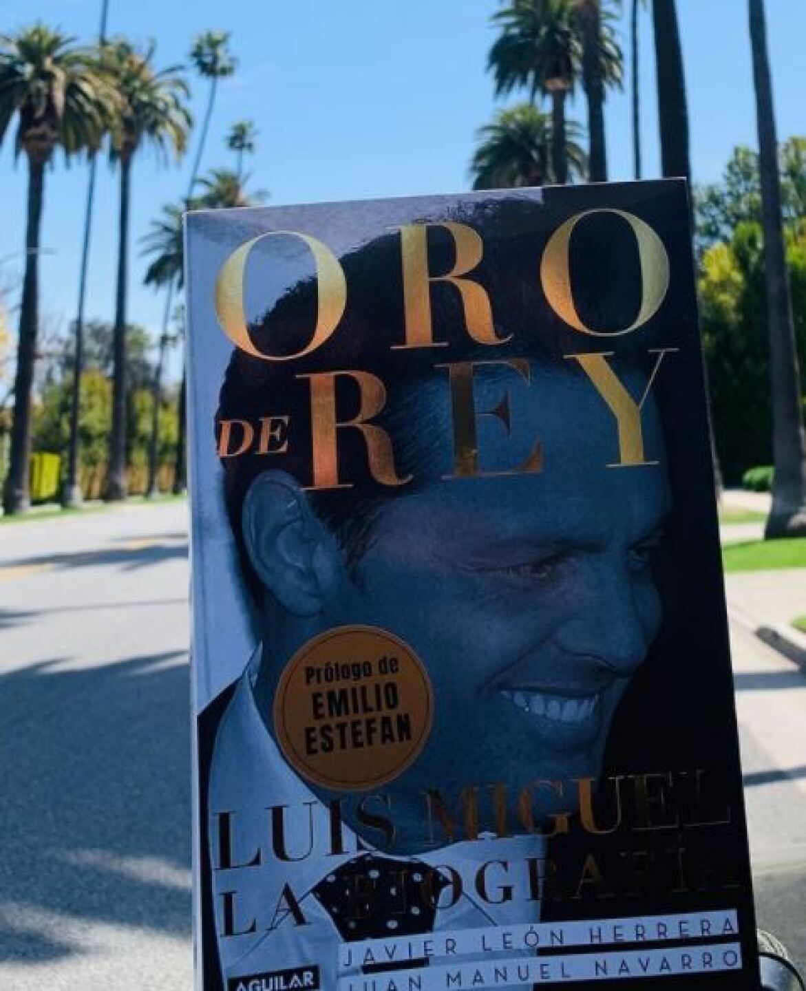 Libro de Luis Miguel.