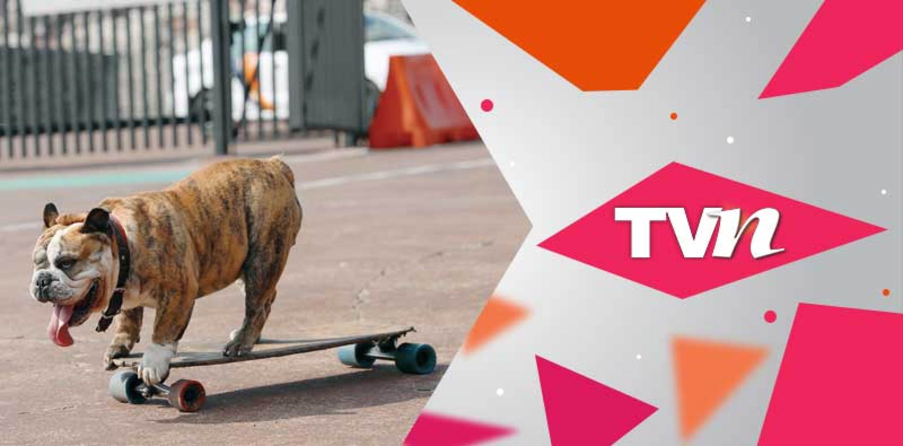 Logan practica en Ciudad Universitaria, en donde la gente se sorprende al verlo.