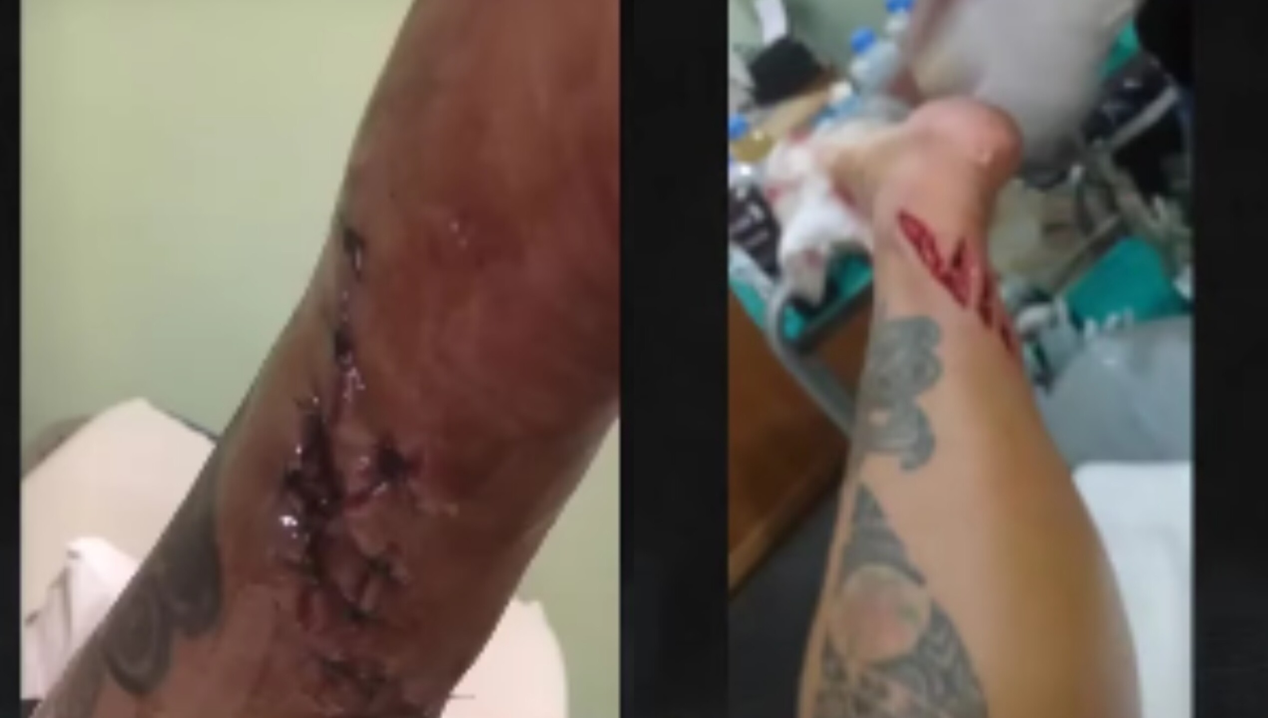 monica-noguera (2).jpg