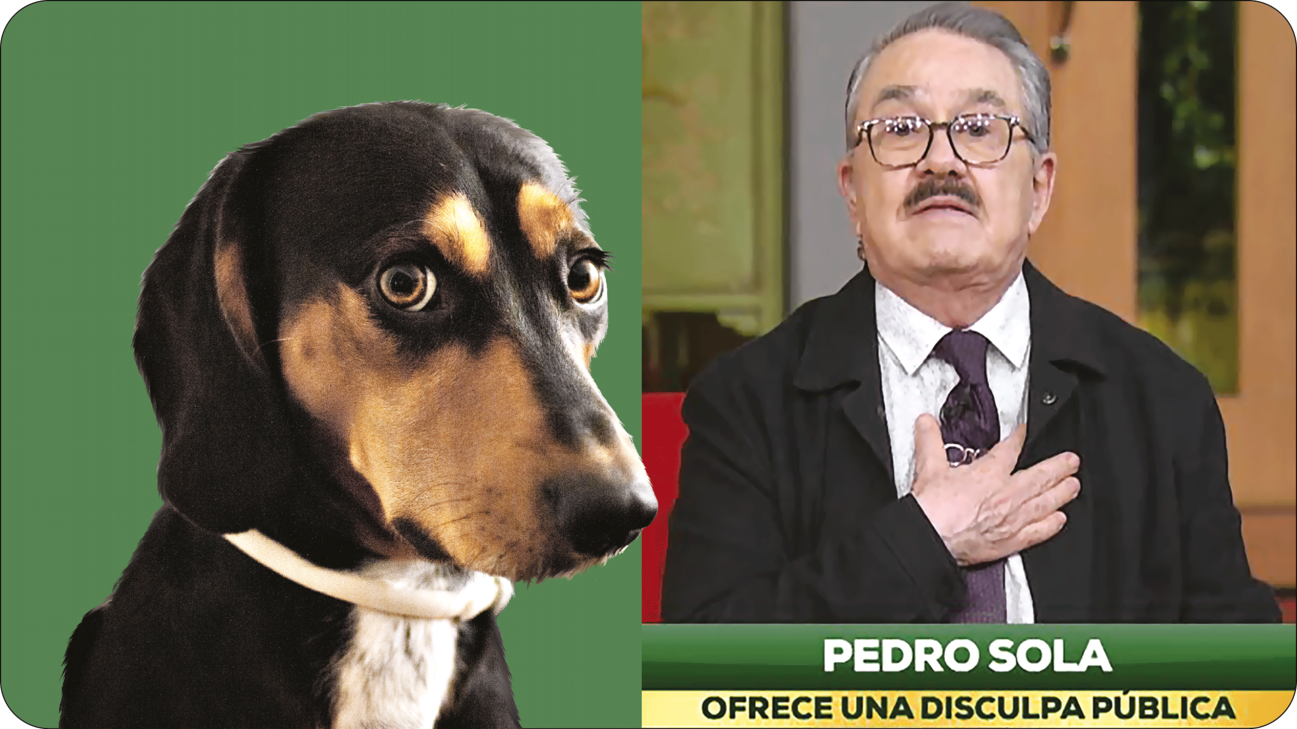 Pedro Sola