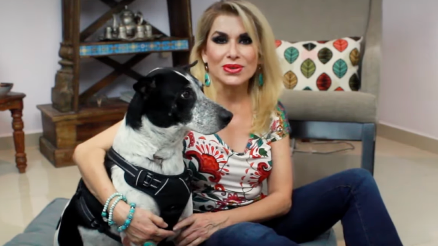 Pinto, el perrito de Dulce, la extraña y conmueve a todos en redes