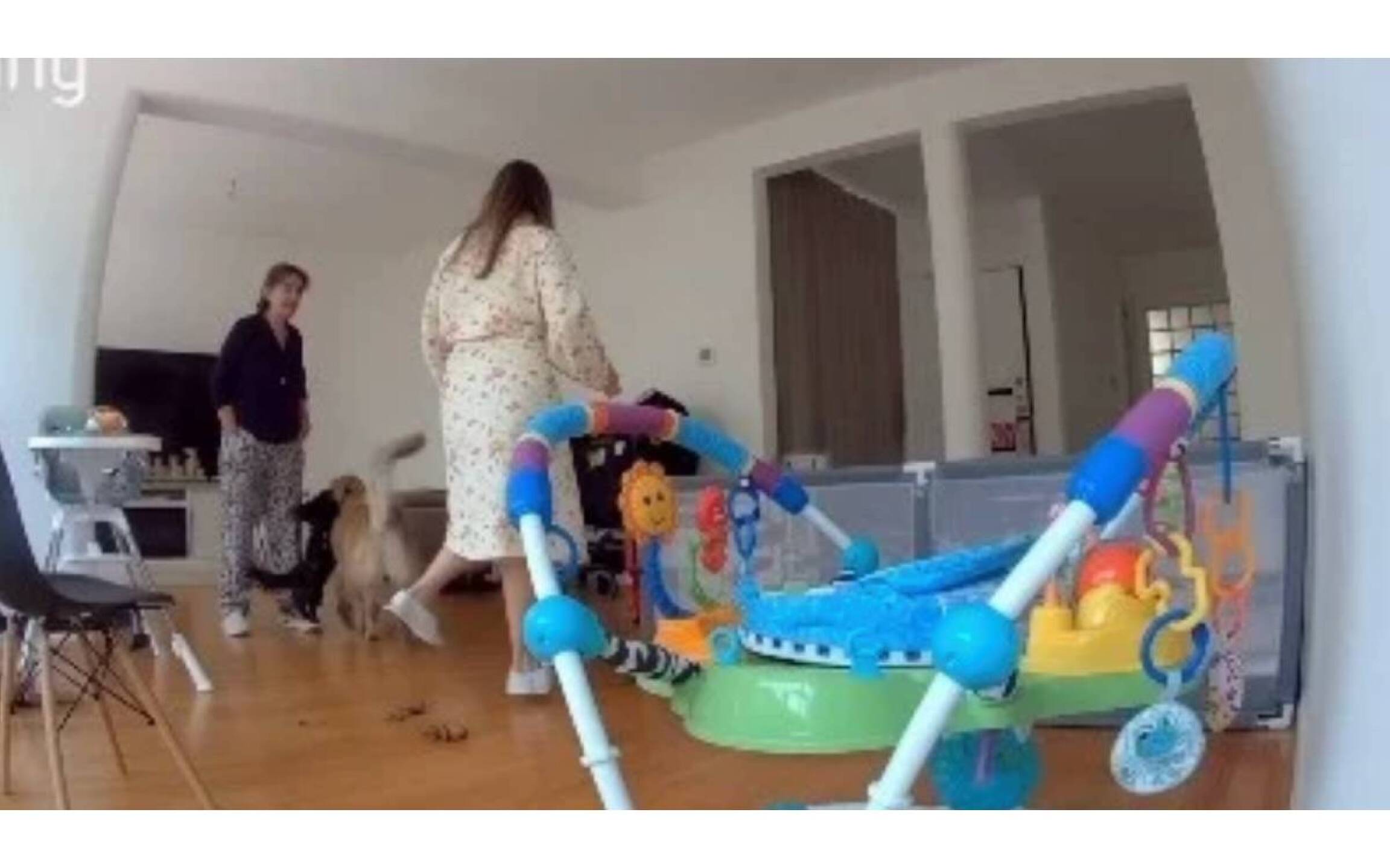 Carolina Flores, exreina de belleza asesinada