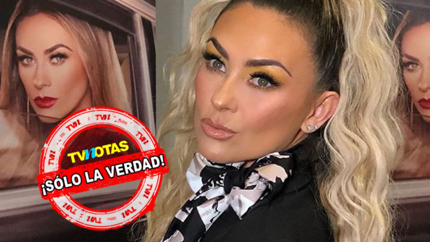 Netflix rechazó pagarle 10 millones de pesos a la actriz para que pudiera aparecer en la serie del cantante.