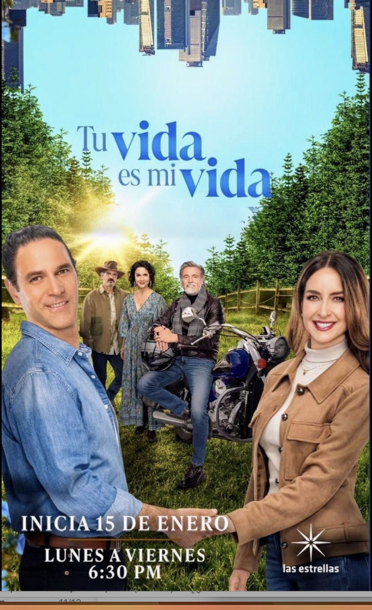 Poster Tu vida es mi vida